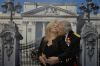 Filename=000_0274.JPG
Filesize=325KiB
Dimensions=2048x1360
Date added=Jun 19, 2020 000_0274.JPG