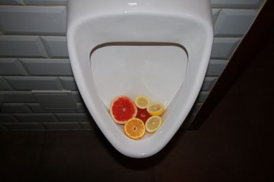 IMG_4691.JPG