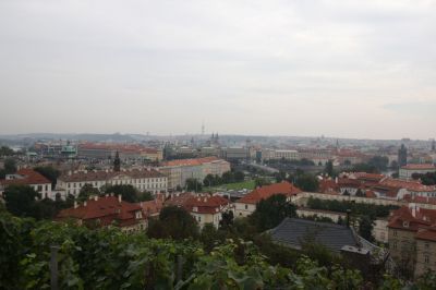 IMG_5368.JPG