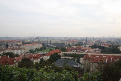 IMG_5369.JPG