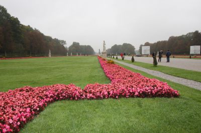 IMG_6189.JPG