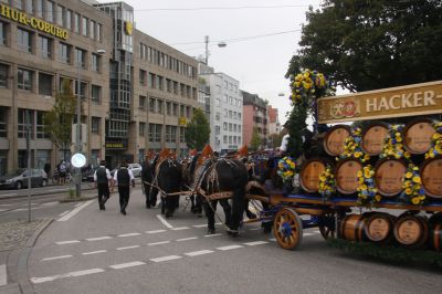 IMG_6217.JPG