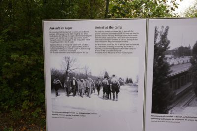 IMG_6576.JPG