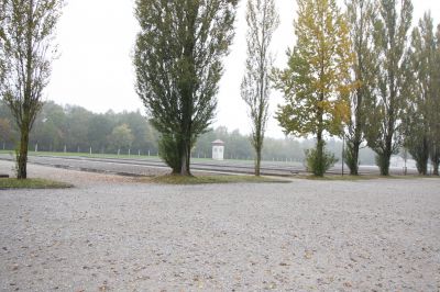 IMG_6794.JPG