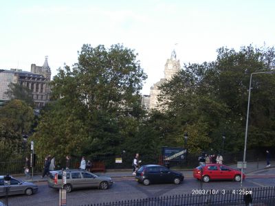 10030024.JPG