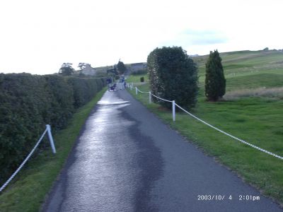 10040040.JPG