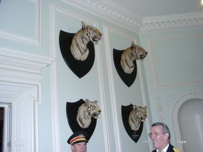 10050049.JPG