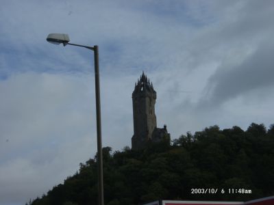10060031.JPG