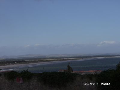 10060047.JPG