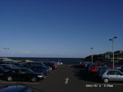 10060058.JPG