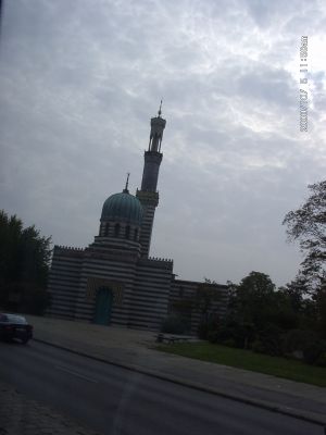 10050018.JPG
