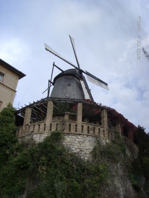 10050030.JPG