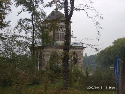 10050054.JPG