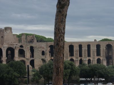 10040032.JPG