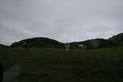 IMG_2193.JPG
