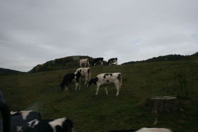 IMG_2194.JPG