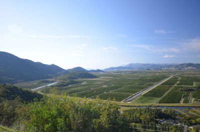 DSC_0763.JPG