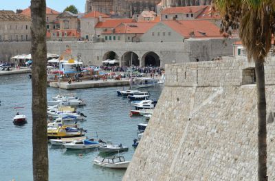 DSC_0769.JPG