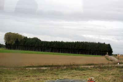 BKH__1453.JPG