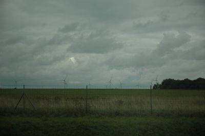 DSC_0114.JPG