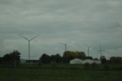 DSC_0119.JPG
