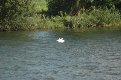 DSC_0245.JPG