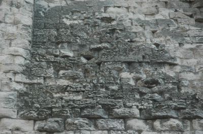 DSC_0361.JPG