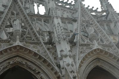DSC_0385.JPG