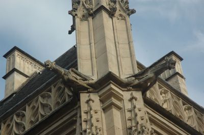 DSC_0427.JPG