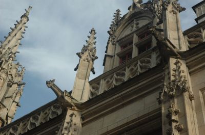 DSC_0428.JPG