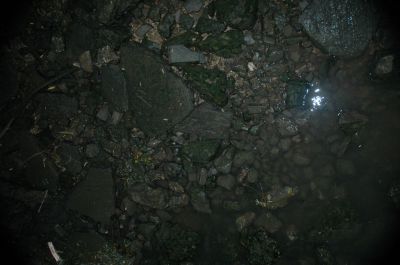 DSC_0527.JPG