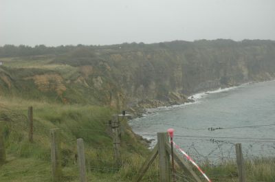 DSC_0563.JPG