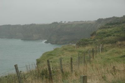DSC_0565.JPG