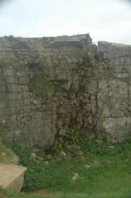 DSC_0600.JPG