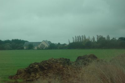 DSC_0609.JPG