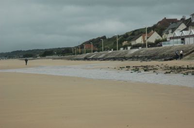 DSC_0631.JPG