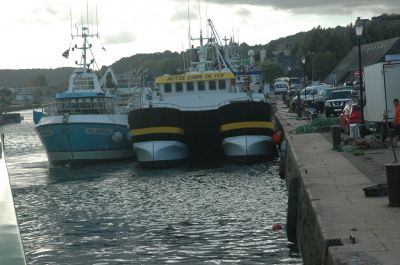 DSC_0713.JPG
