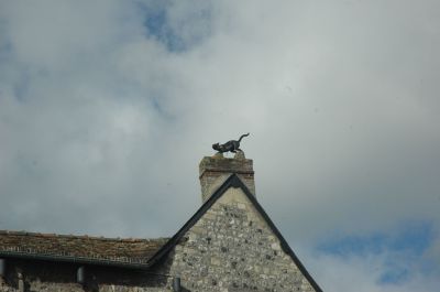 DSC_0766.JPG