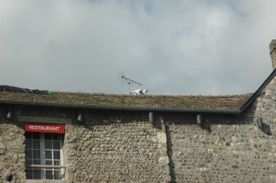 DSC_0767.JPG