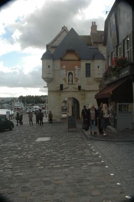 DSC_0800.JPG