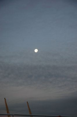 DSC_0834.JPG