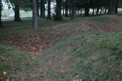 DSC_0865.JPG