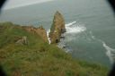 DSC_0569.JPG
