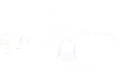 JK_0605.JPG