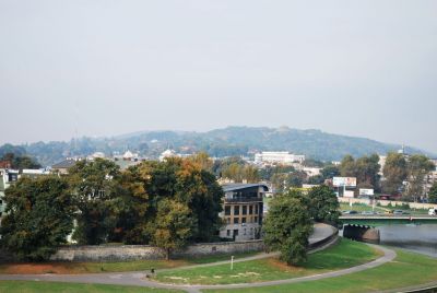 2246.JPG