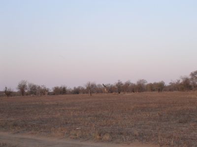 DSC00305.JPG