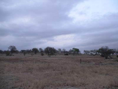 DSC00412.JPG