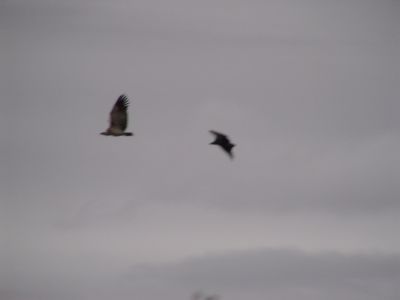 DSC00432.JPG