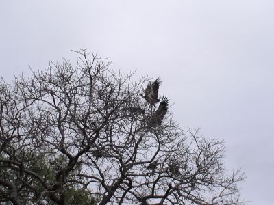 DSC00436.JPG