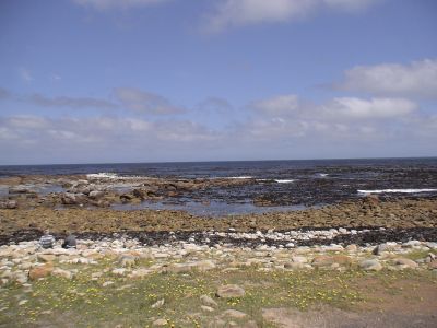 DSC00571.JPG